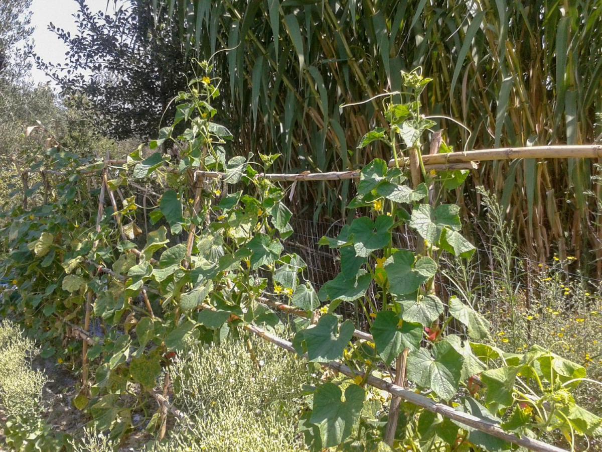 Willa Aroggia Farm Xanthátai Zewnętrze zdjęcie